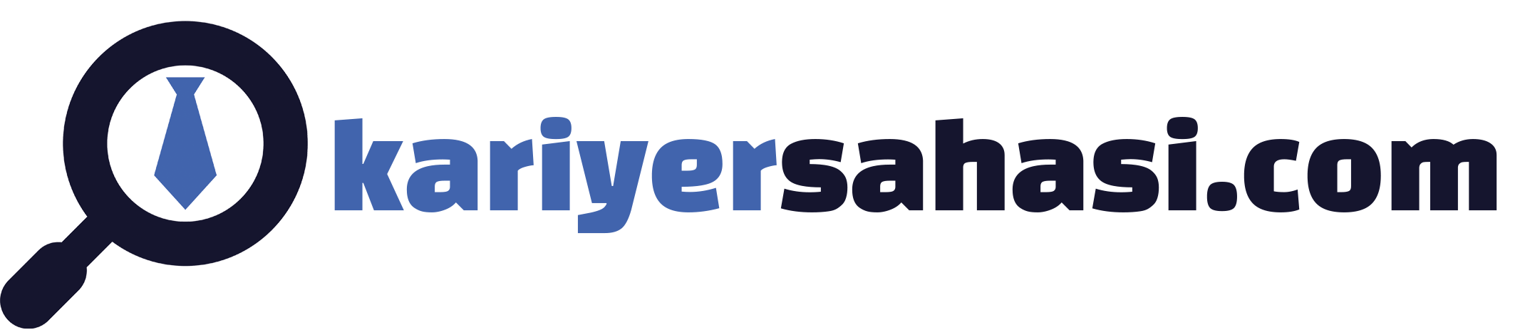 Kariyer Sahası